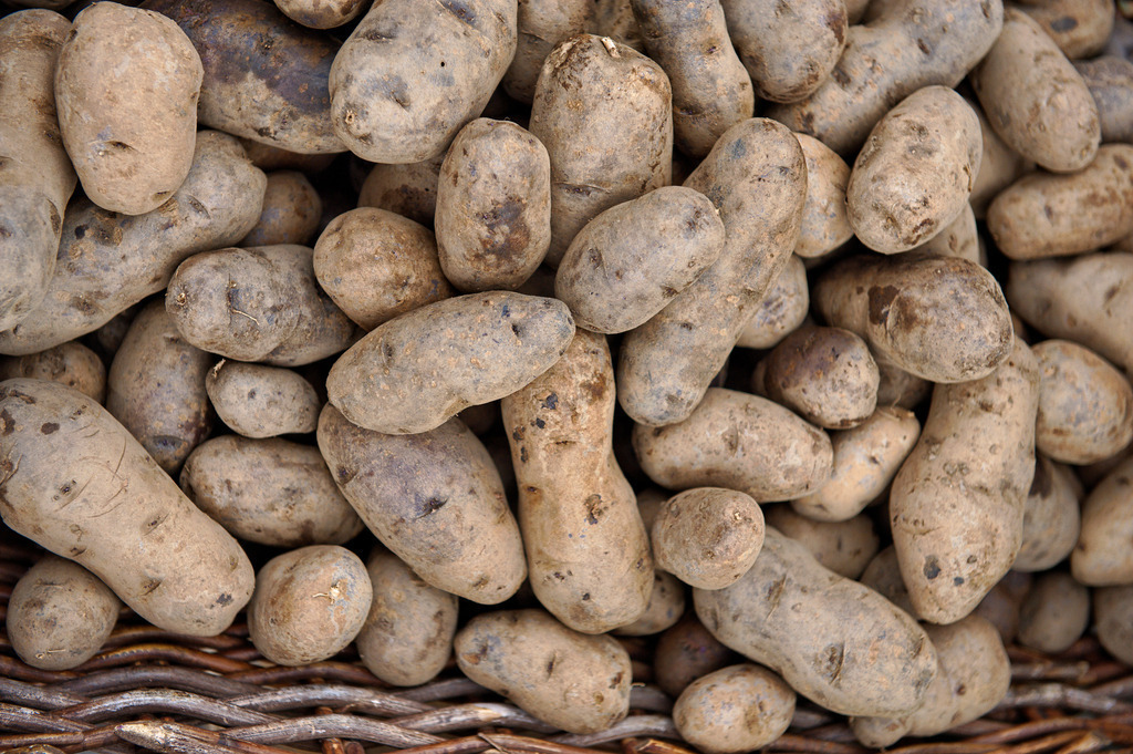 Kartoffeln im Korb | Wien, Austria - December 03, 2011: Kartoffeln im Korb. - Realisiert mit Pictrs.com