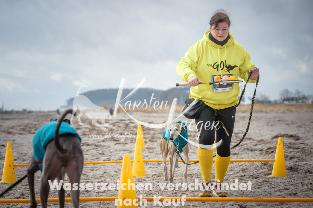 1145_ZZ90611 | kk-dogfotos