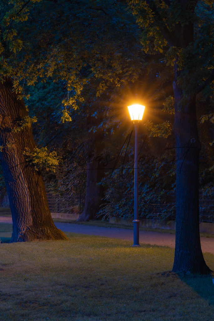 Laterne im Park | Bernburg (Saale) auf dem Weg zu Reimanns - Realisiert mit Pictrs.com