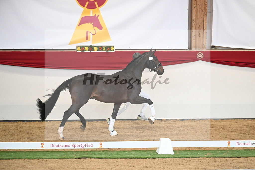Kat.-Nr. 63 v. Foundation_Schafhof _ Jäckel_2250440 | hf-fotografie - Realisiert mit Pictrs.com