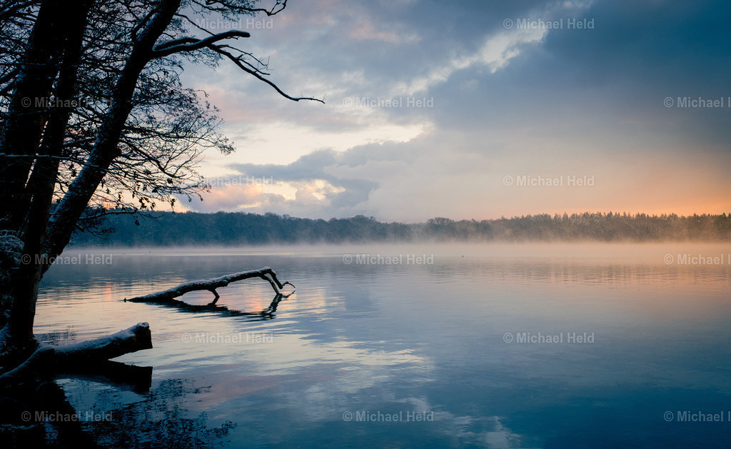 2023-12-01_Wald_Pratjau_Schnee_009 | Profi-Fotos über Schleswig-Holstein und dem ganzen Norden für Büro, Hotel, Ferienhaus, Ferienwohnung, Wohnzimmer, Arztpraxis uvm. jetzt bestellen. - Realisiert mit Pictrs.com