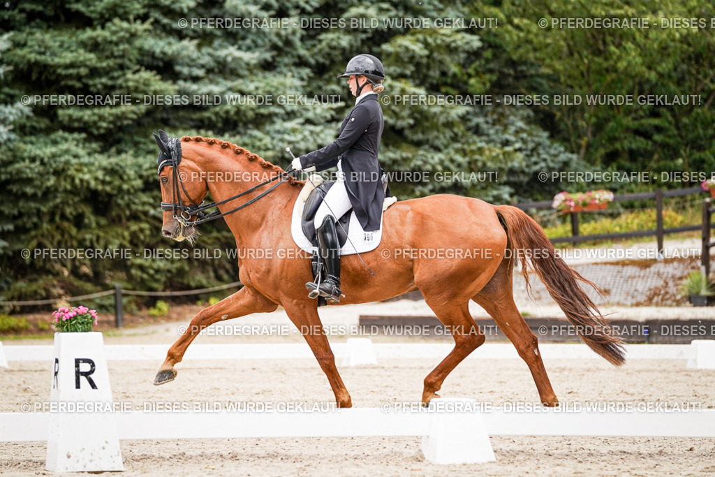 DSC05203 | Pferdegrafie