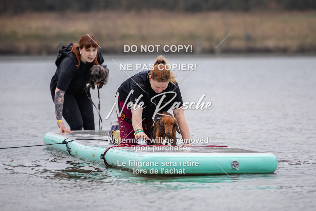 nelerasche_Hulsbeek_Sa1515-1600_112 | nelerasche