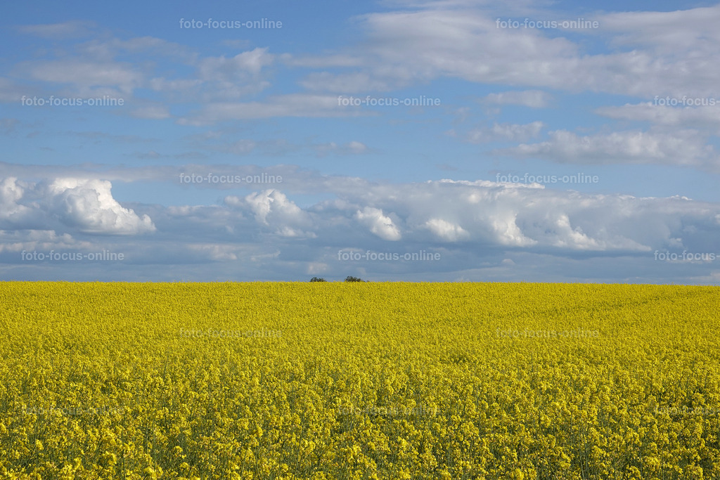 rapps-heute_18 | foto-focus-online