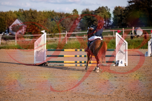 2026_10_03_Siefer-Hof_171216_Z81_09308069 | Professionelle Reitsport-, Turnier- und Eventfotografie von Robert Broda. Galerien mit ausgewählten und bearbeiteten Bildern direkt online ansehen und bestellen.