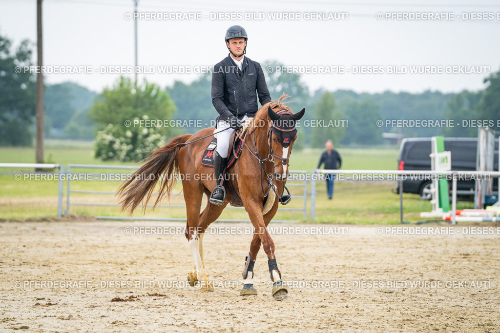 DSC00613 | Pferdegrafie