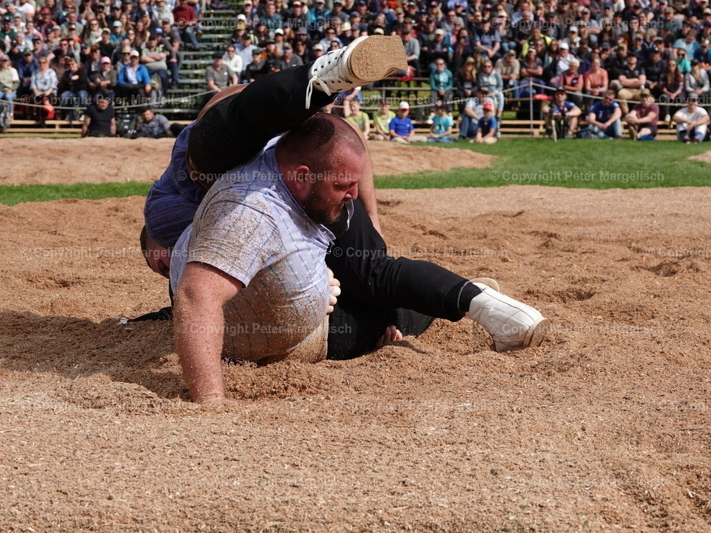 DSC07270 | Schwingen - Realisiert mit Pictrs.com