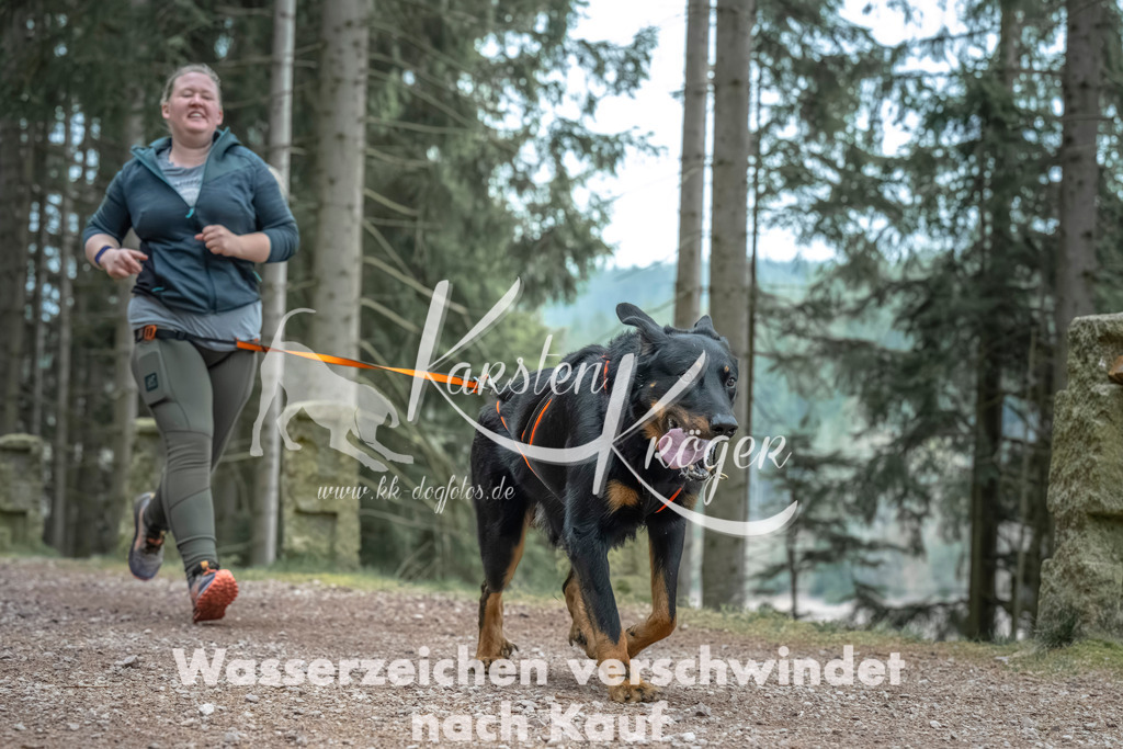 0815_ZZ90722 | kk-dogfotos