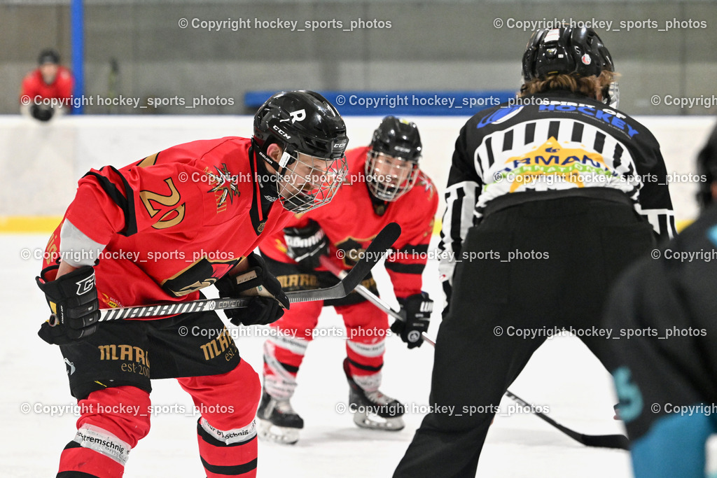 Lendhafen Seelöwen vs. Spartans Althofen | #20 Ban Christian Spartans Althofen, Pirsch Christoph Referee, Lendhafen Seelöwen vs. Spartans Althofen, Lendhafen Seelöwen vs. Spartans Althofen am 14.02.2025 in Ferlach (HTC Eishalle Ferlach), Austria, (Photo by Bernd Stefan)