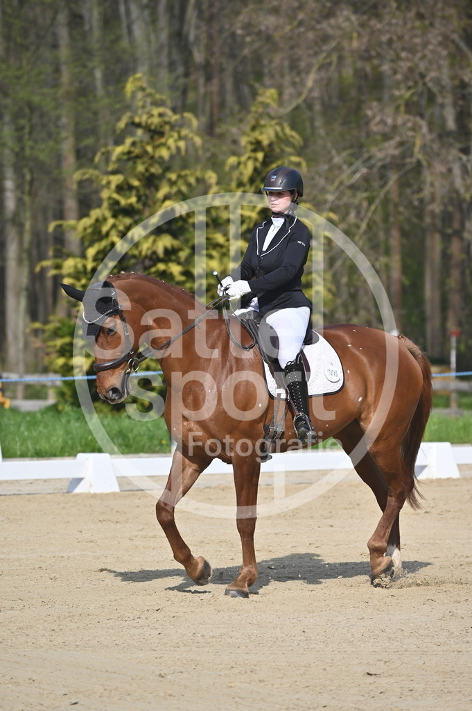 DSC_0402 | sattelsport - Realisiert mit Pictrs.com