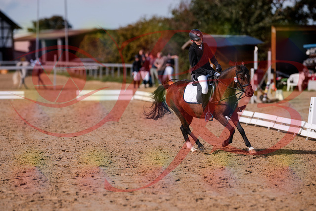 2026_10_03_Siefer-Hof_122450_Z81_25314672 | Professionelle Reitsport-, Turnier- und Eventfotografie von Robert Broda. Galerien mit ausgewählten und bearbeiteten Bildern direkt online ansehen und bestellen.