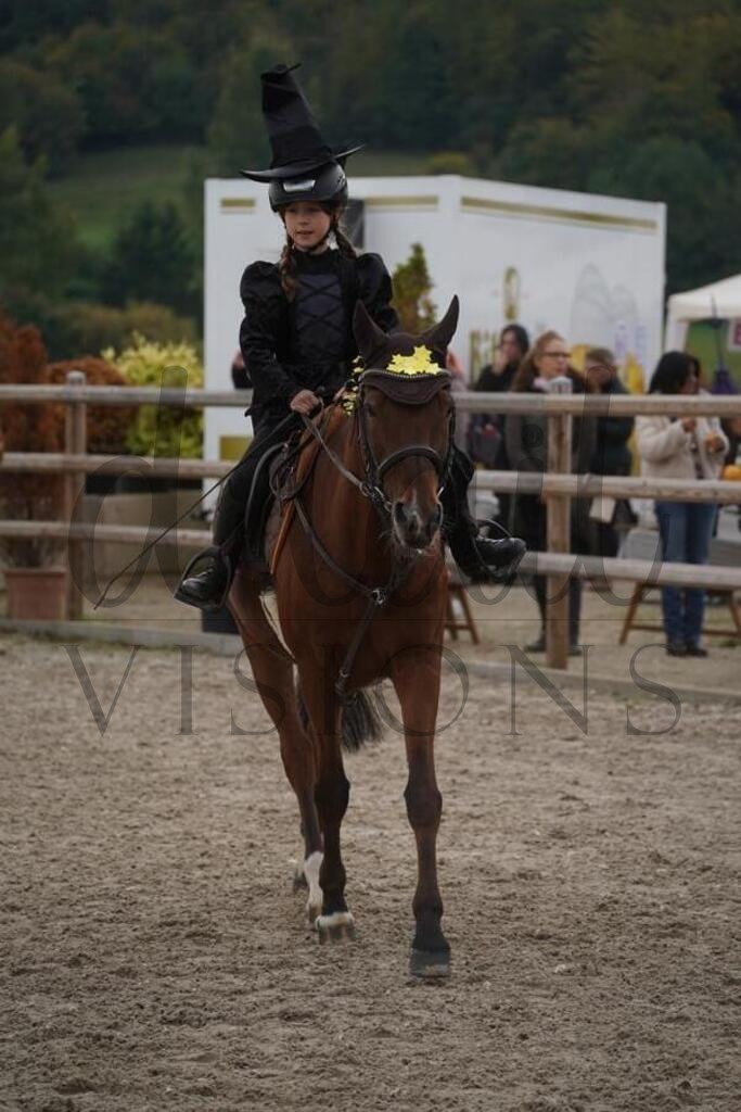 pfmagarethenhof (849) | d.tail Visions - Shop - Realisiert mit Pictrs.com