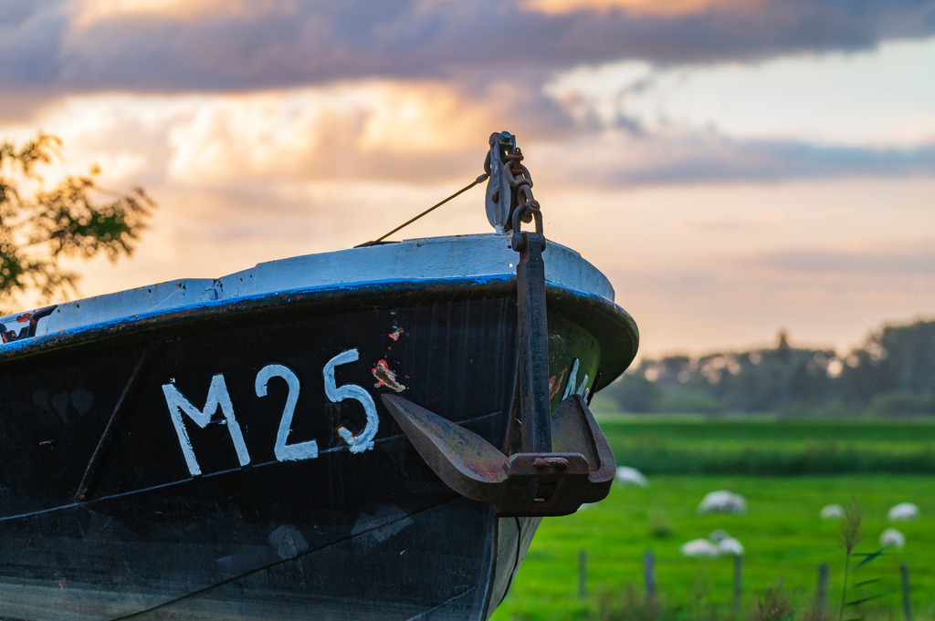 2023_08_04_HETLINGER-SCHANZE_MCP0806 | Hochwertig gedruckte Fotografien für die Wand, als Kalender und zum Verschenken. Hamburg & Norddeutschland und überall wo ich mit der Kamera unterwegs war.