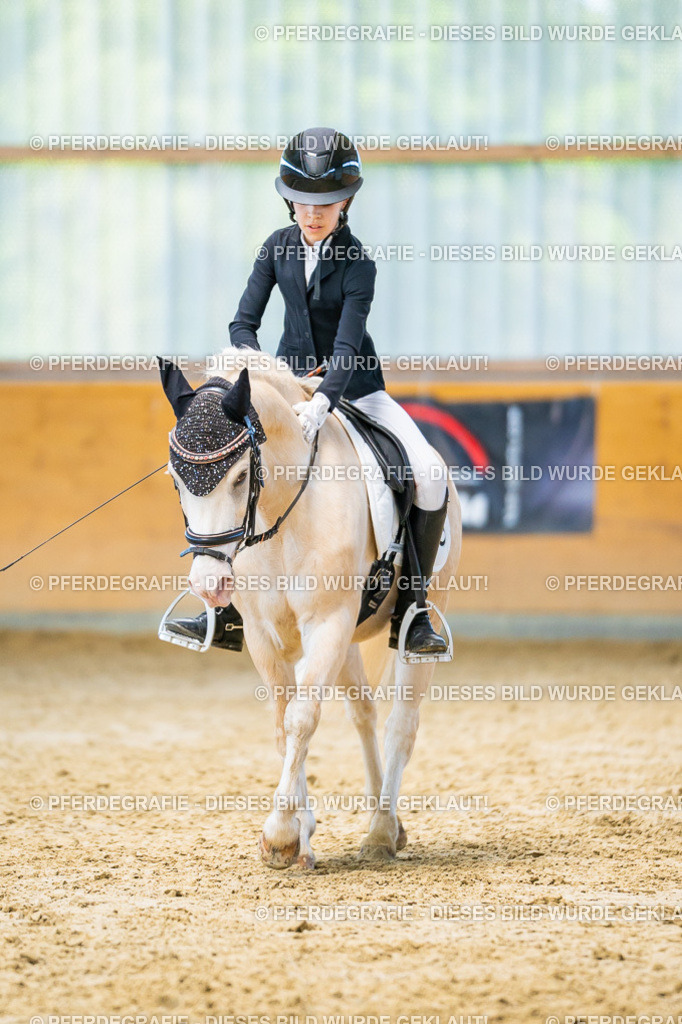 DSC07475 | Pferdegrafie