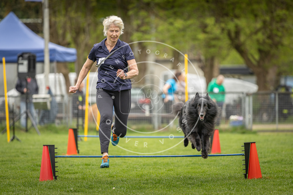Pfotenfotografie_DV3A2352 | Hundefotografie, Tierfotograf, Pfotenfotografie, Fotoshooting Hund, Hunde Portrait, Hundesport, Hundeportraits, Heideshooting, Hunde, Sportfotograf, Hundefotograf, Turnierhundsport, THS,  - Realisiert mit Pictrs.com
