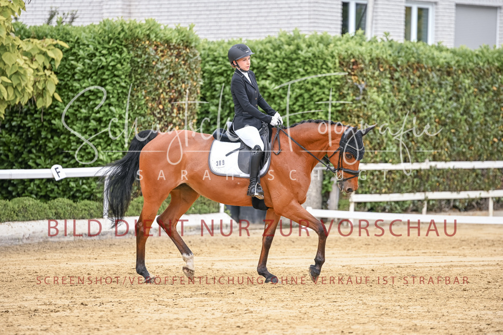 Schugtsche-Aluta25-43.EDressur -4 | Schugtsche Fotografie - Realisiert mit Pictrs.com