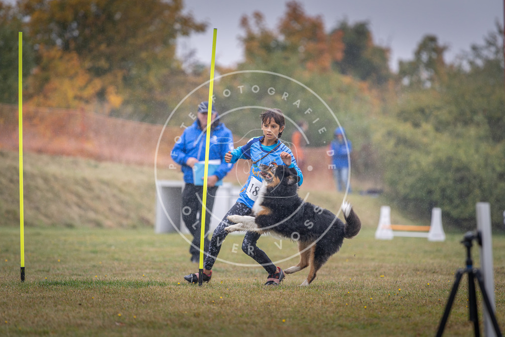 Pfotenfotografie_DV3A0001 | Hundefotografie, Tierfotograf, Pfotenfotografie, Fotoshooting Hund, Hunde Portrait, Hundesport, Hundeportraits, Heideshooting, Hunde, Sportfotograf, Hundefotograf, Turnierhundsport, THS,  - Realisiert mit Pictrs.com