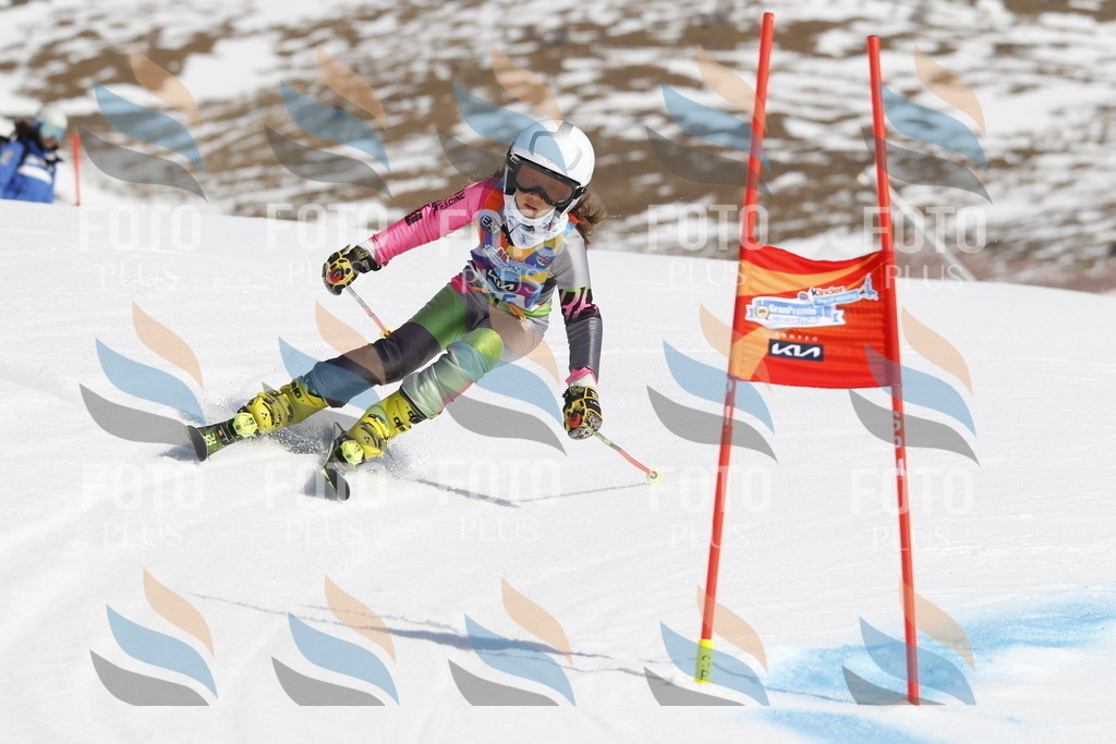 _U3G0605 | holidayphoto