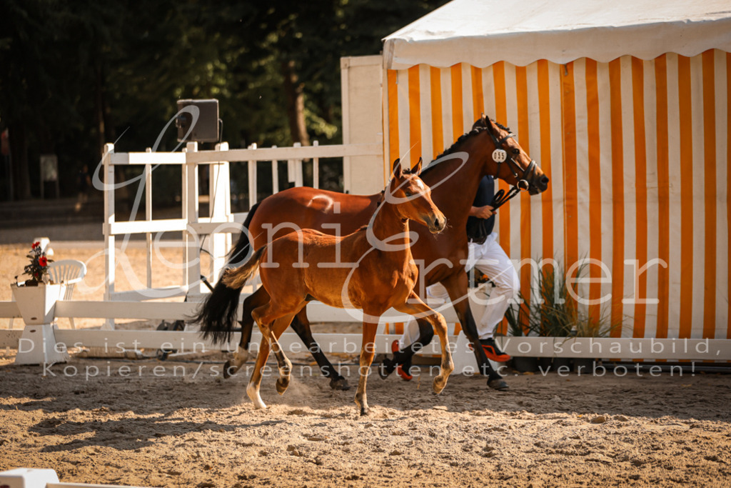 11.DoRP00127 | Leoni Ertmer Photography - Realisiert mit Pictrs.com