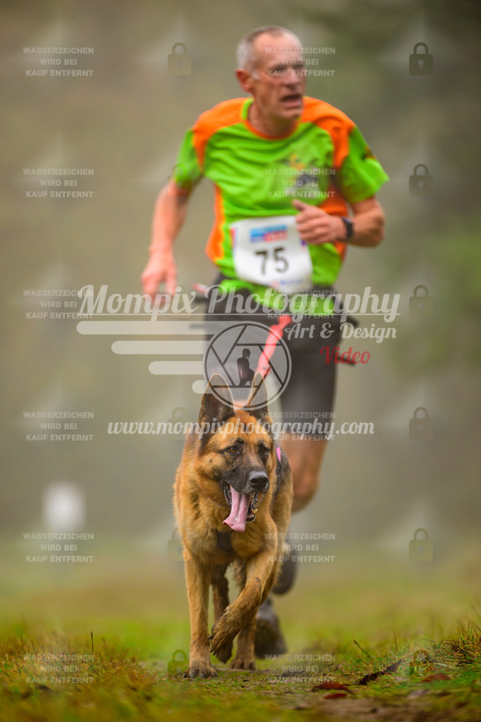 MompixPhotography_Bischwiller2025_Canicross-47 | mompixphotography