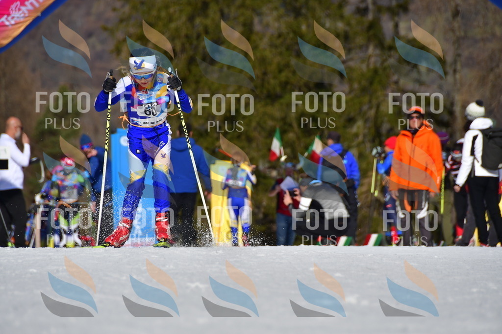 _DSC9194 | holidayphoto