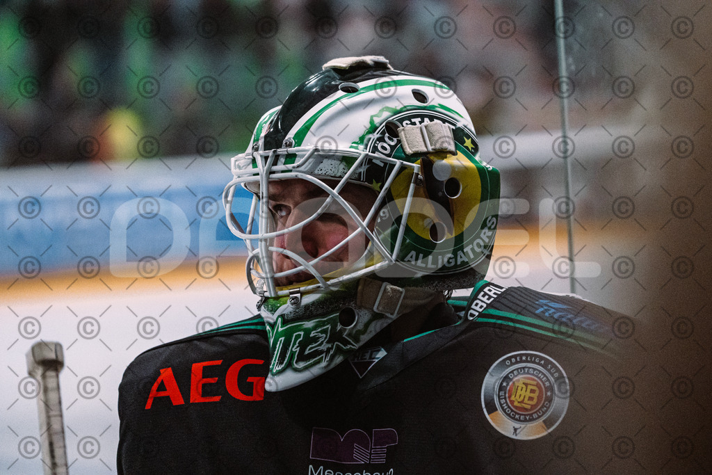 Alligators_vs_Riessersee_03_02_2026-32 | Höchstadt Alligators Fotogalerie: Eishockey-Action aus Franken. Professionelle Spielfotos, Portraits & Stadionbilder zum Download. Jetzt entdecken! - Realisiert mit Pictrs.com