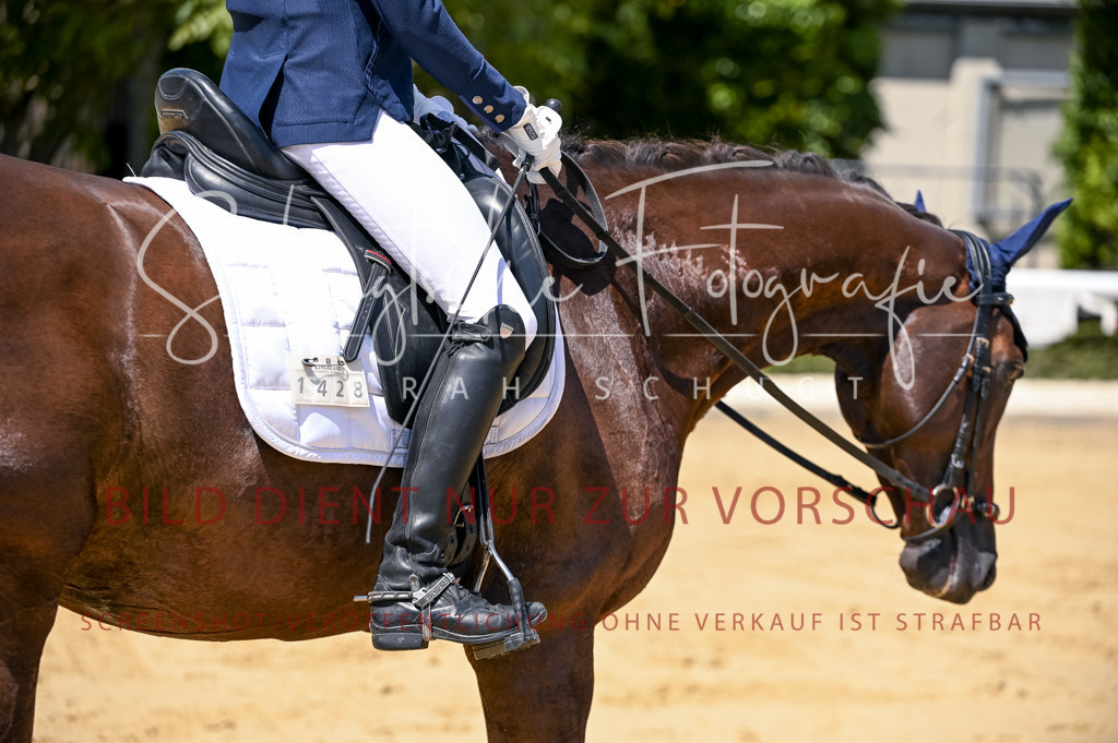 Schugtsche-Aluta25-49.Dressurpferdeprf.A-28 | Schugtsche Fotografie - Realisiert mit Pictrs.com