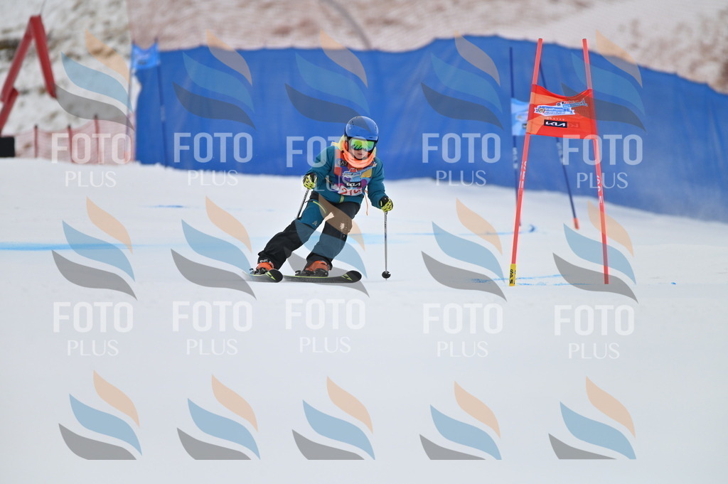 BGV_2377 | holidayphoto