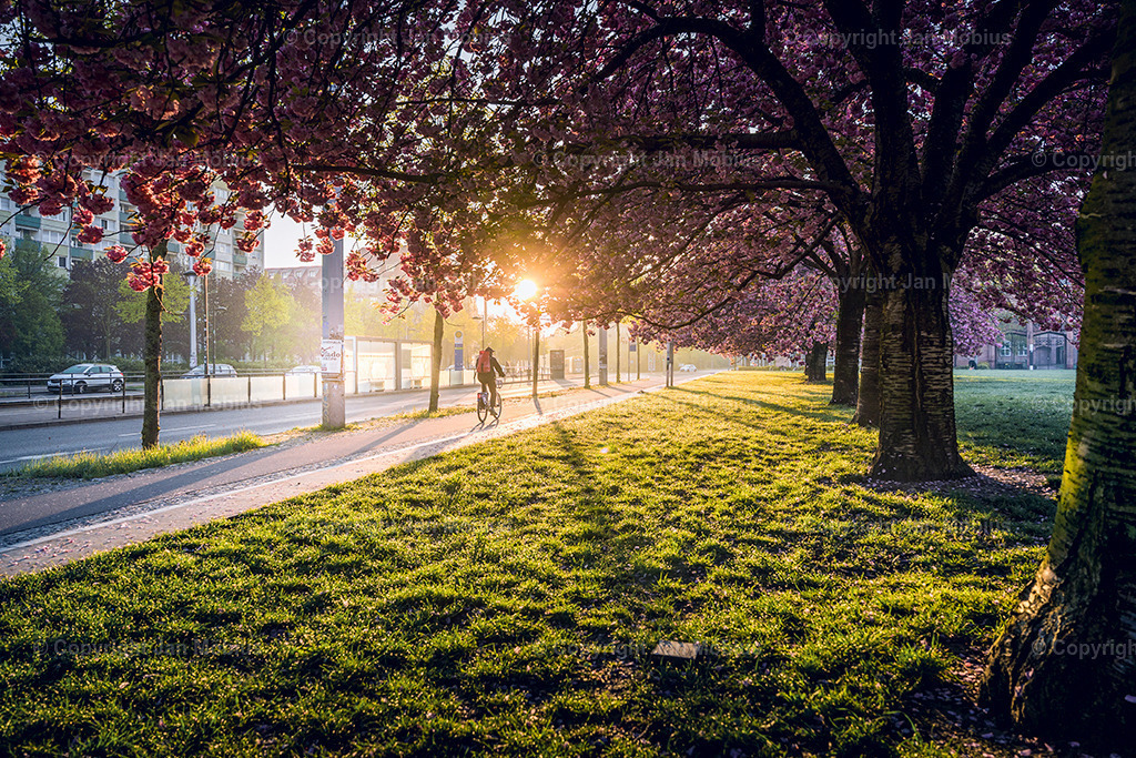 _DSC1697-2 | Leipzig Wandbilder Drucke Prints Leinwand Stadtmotive Leipzig Fotosdruck Kunstdrucke Bilder Leipzig Stadtansichten Acrylglasbilder Leipzig Wanddeko Fine Art Prints Wandbilder Büro Leipzig Bilder Praxis Zuhause Bilderdruck Poster Posterlounge Kunstdrucke - Realisiert mit Pictrs.com