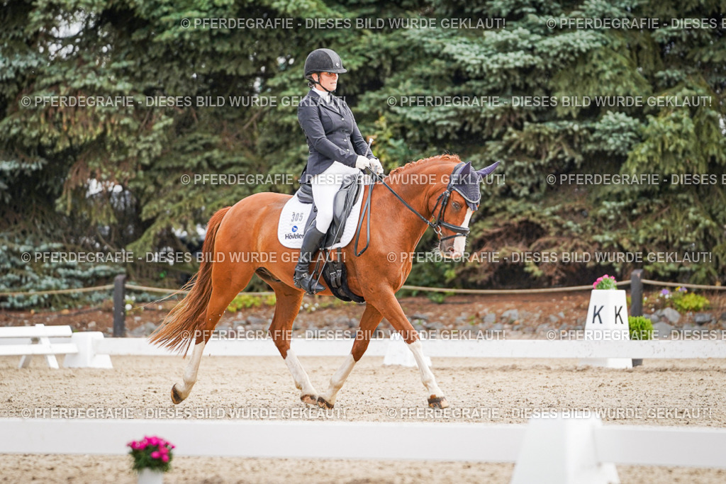 DSC01784 | Pferdegrafie