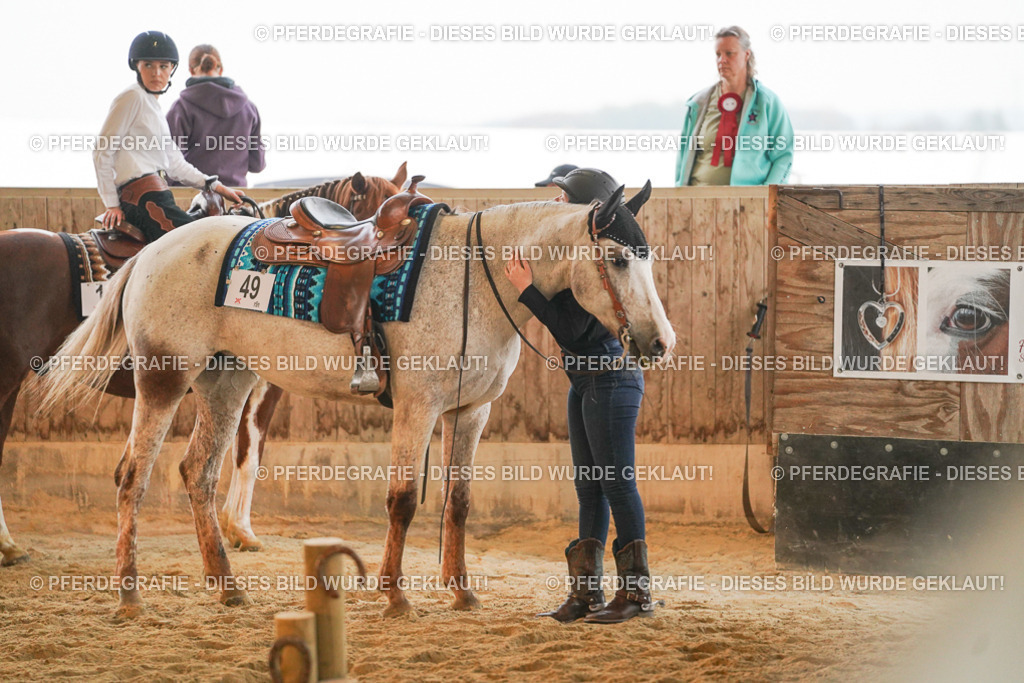 DSC09091 | Pferdegrafie