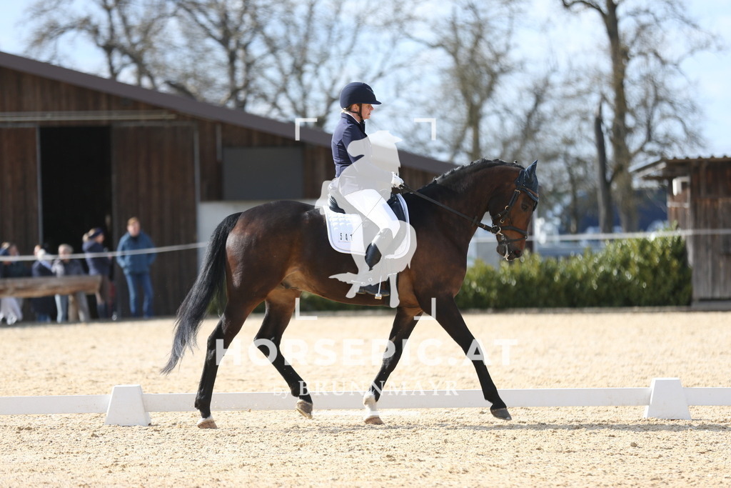 AS8V1782 | Willkommen bei Brunnmayr - Design & Fotografie – Ihrem Spezialisten für Reitturniere und Pferdeveranstaltungen in Oberösterreich, Salzburg und Bayern! Seit über 17 Jahren sind wir leidenschaftlich dabei.
