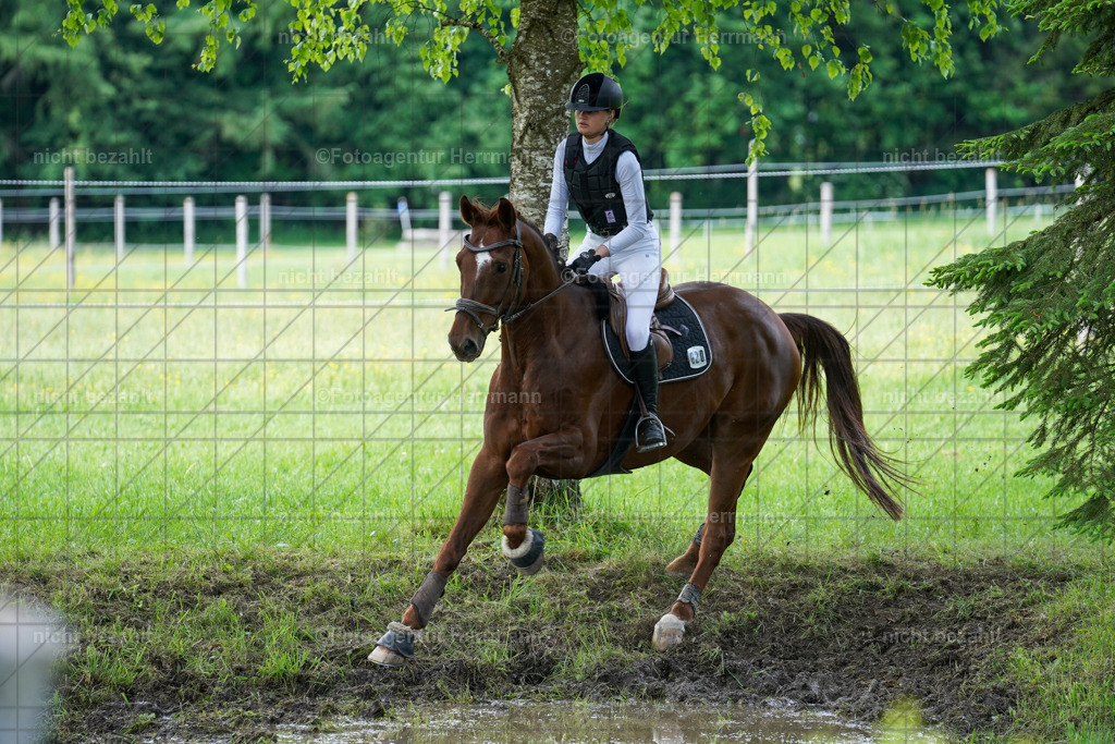 20240518-FAH04068 | Turnierbilder von Niederseon, Turnierfotografen Bayern, Fotoagentur Herrmann, Geländebilder, Reitsportfotografie