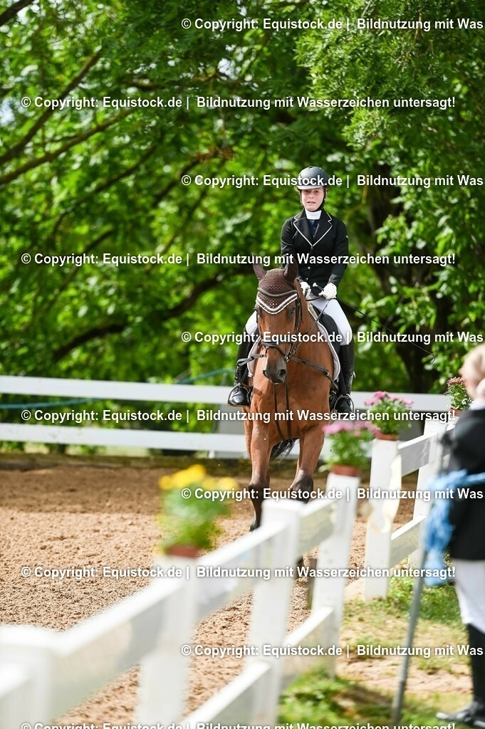 20230716_10-1_Reiter-WB Schritt - Trab - Galopp_0102 | equistock