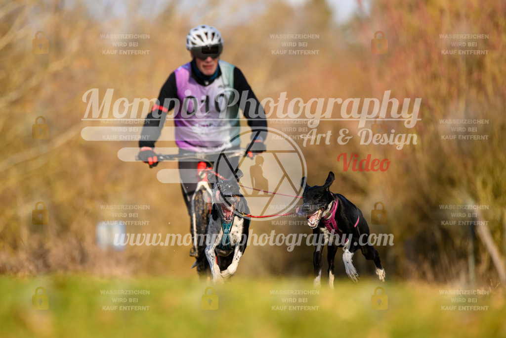 MompixPhotography_10Schwabentrail2026_SO_Scooter-2 | PayLife