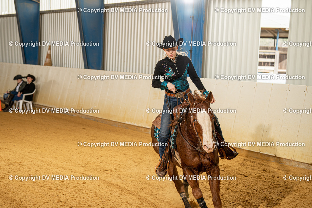 MIT00087 | dv-media-shop - Realisiert mit Pictrs.com