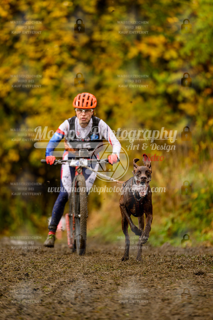 MompixPhotography_ICF_WC_2024_SA_DS_-98 | PayLife