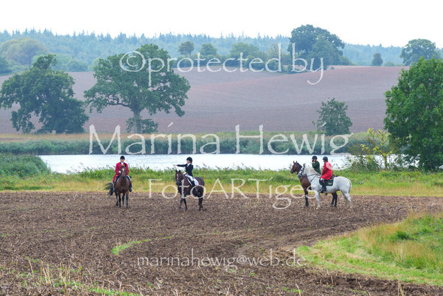 Jagd Kletkamp 26-02968_MarinaHewig | Fotografie, FotoArt, PferdesportArt, Pferdesportfotografie, Landschaftsfotografie, Reisefotografie, Reise, Pferde - Realisiert mit Pictrs.com