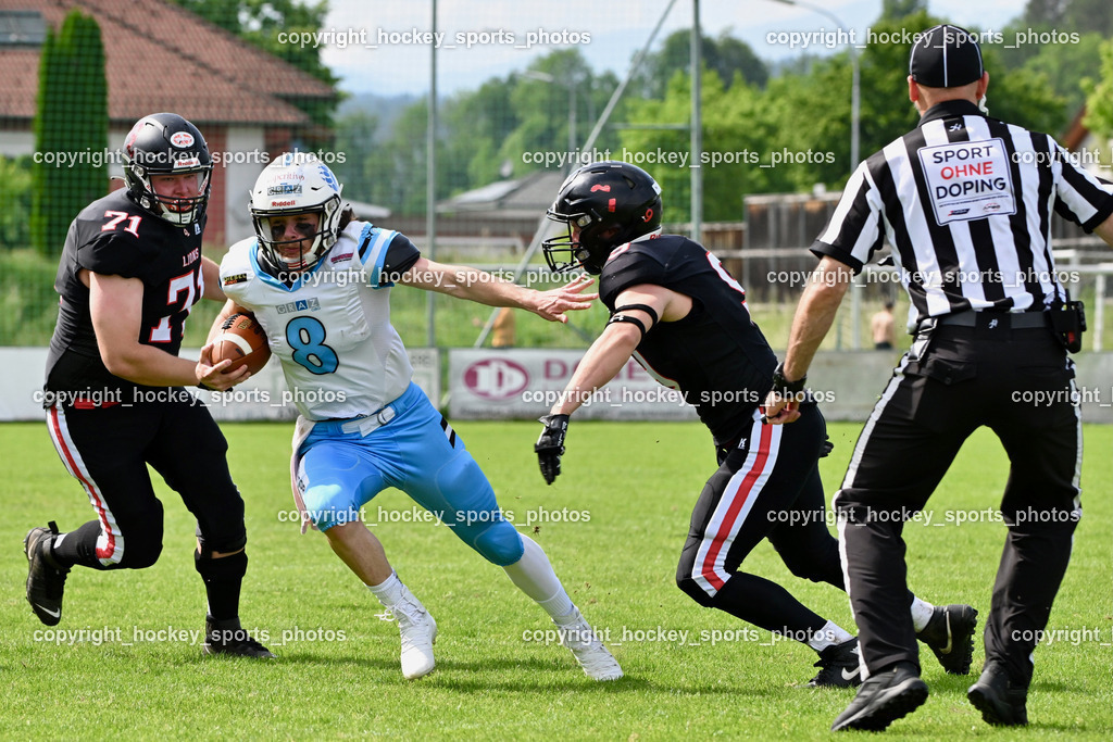 Carinthian Lions vs. Styrian Bears | Carinthian Lions vs. Styrian Bears, Carinthian Lions vs. Styrian Bears am 20.05.2024 in Klagenfurt (ASV Sportplatz), Austria, (Photo by Bernd Stefan)