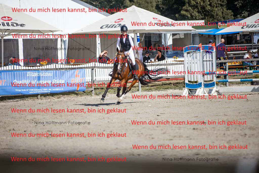 BK1A7103 | Turnierbilder Turnierfotos Nina Hüffmann Turnierfotografie Pferdefotografie Tierzeichnung Haustierzeichnung Pferdezeichnung Hundezeichnung Videograf  - Realisiert mit Pictrs.com