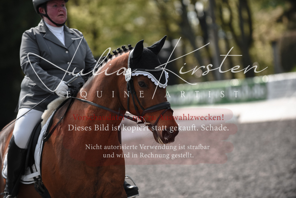20230513_JK-Röhrsdorf-14-420 | Pferde- und Turnierfotografie in Westsachsen. Pferdeportraits, Auftragszeichnungen und intuitive Kunst.