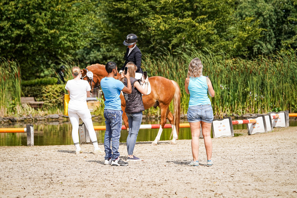 DSC02427 | Pferdegrafie