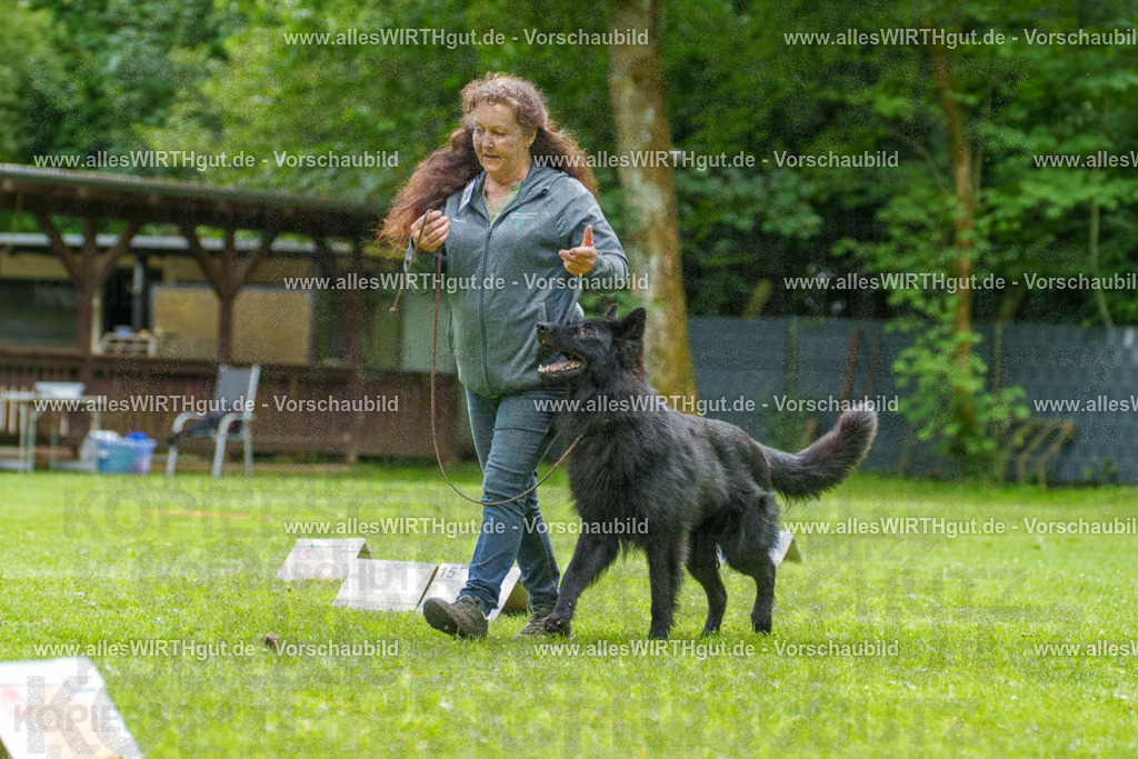 @allesWIRTHgut_Tierfotografie - www.allesWIRTHgut.de - 7R501763 | Professionelle Tierfotografie in Mönchengladbach von Daniel Wirth (allesWIRTHgut). Liebevolle & natürliche Bilder von Hunden & Katzen für unvergessliche Erinnerungen.