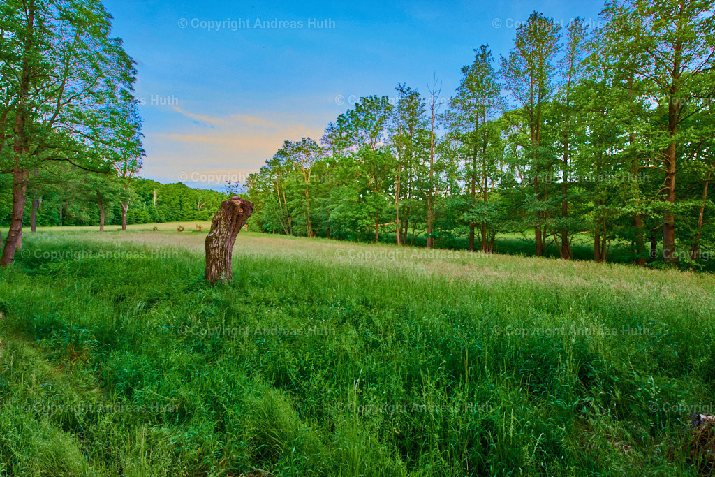 Im Tal der Kleinen Triebisch zwischen Helmmühle und Kobitzsch  01 | Bedeutsame Landschaften Deutschlands - Realisiert mit Pictrs.com