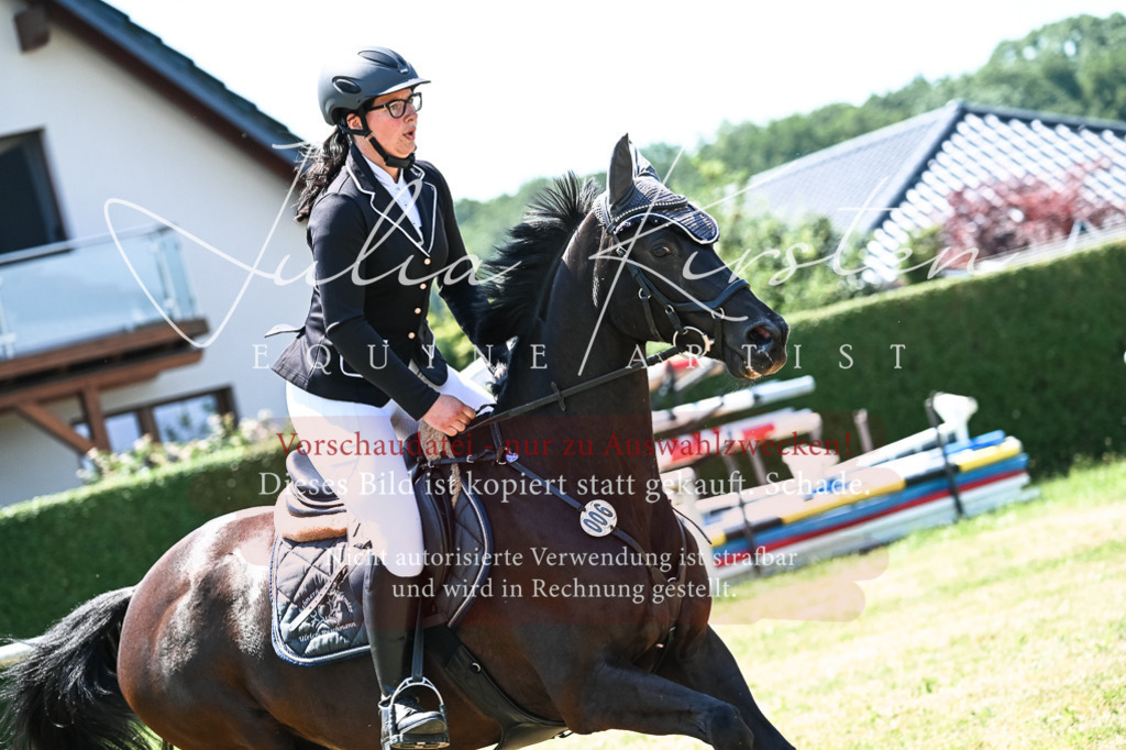 DSC_0208 | Pferde- und Turnierfotografie in Westsachsen. Pferdeportraits, Auftragszeichnungen und intuitive Kunst.