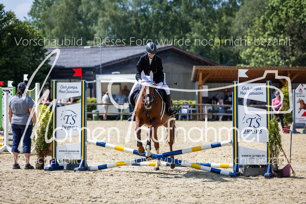 Donop24-SprRW-030 | MomenTaufnahmen Pferdesportfotos