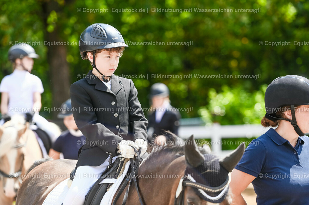 20230716_11_Führzügel-WB_0047 | equistock