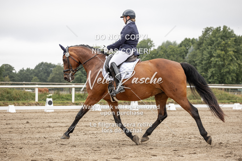 nelerasche_DrL_Ede_158 | nelerasche