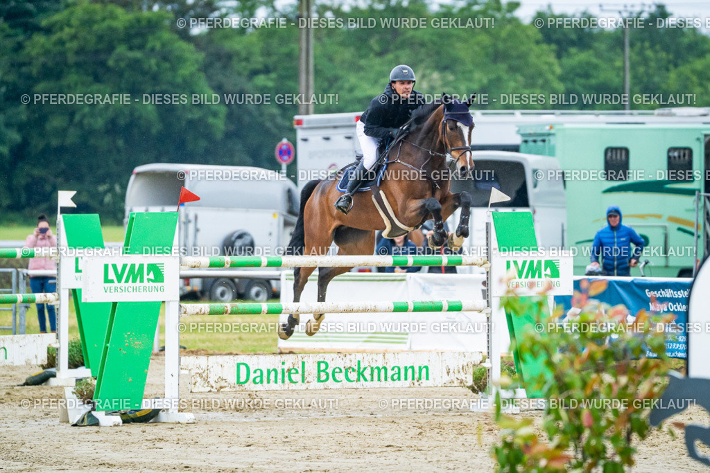 DSC00299 | Pferdegrafie