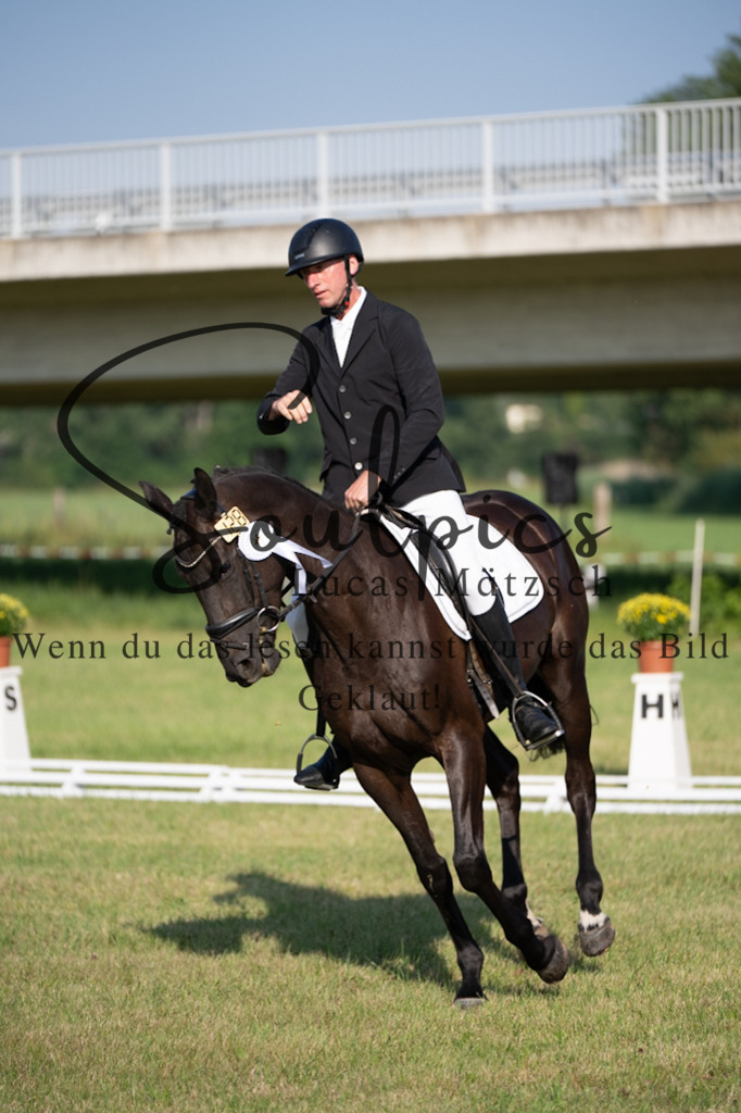 A7V09258 | Pferdefotograf